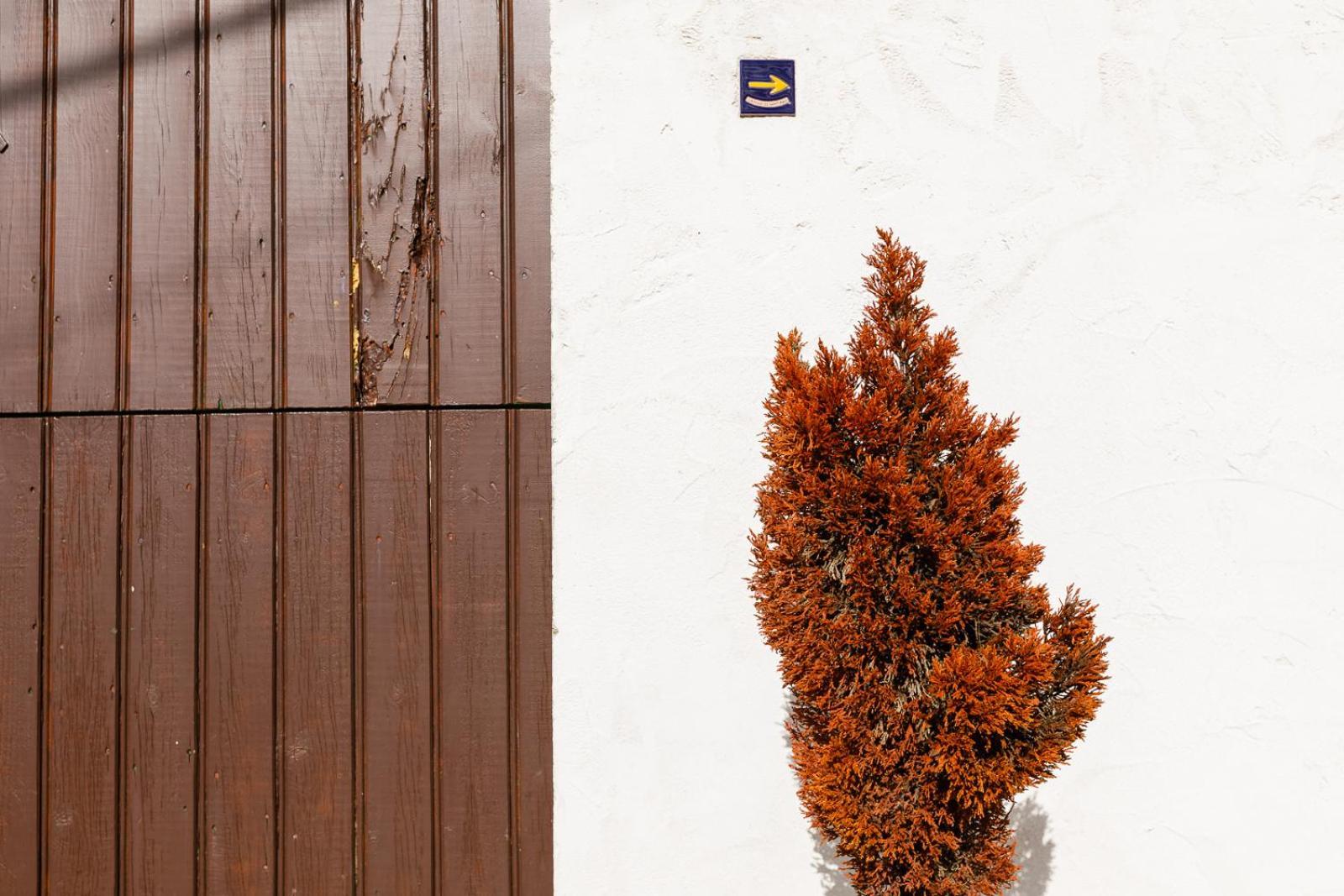 Balcon De Brano Βίλα O Freixo Εξωτερικό φωτογραφία